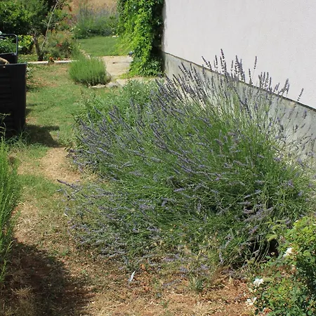 By The Sea Kraj, Pasman - 8247