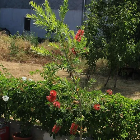 Апартаменты By The Sea Kraj, Pasman - 8247